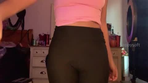 Snapshot of happysoft chatting on 12-29-24, 07:53 meatwad online show from 12-29-24, 07:53