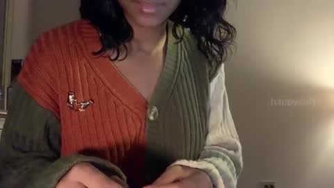 Snapshot of happysoft chatting on 01-01-25, 09:20 meatwad online show from 01-01-25, 09:20