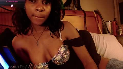 Snapshot of happysoft chatting on 02-28-25, 02:31 meatwad online show from 02-28-25, 02:31