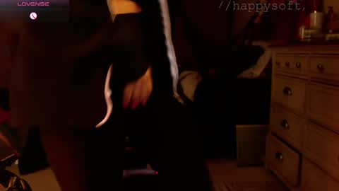 Snapshot of happysoft chatting on 03-09-25, 11:47 meatwad online show from 03-09-25, 11:47