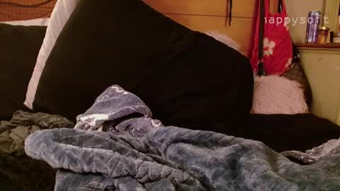 Snapshot of happysoft chatting on 03-11-25, 11:33 meatwad online show from 03-11-25, 11:33