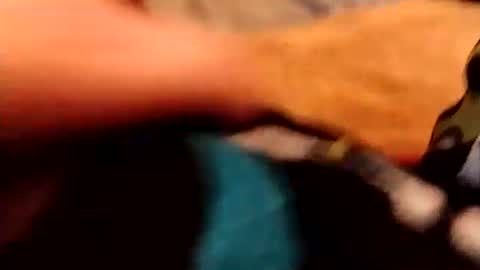 hardandhorny422 online show from 12-04-25, 03:54