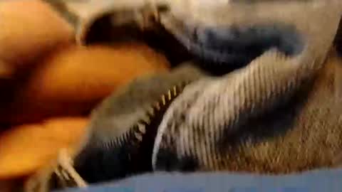 hardandhorny422 online show from 01-15-26, 03:49