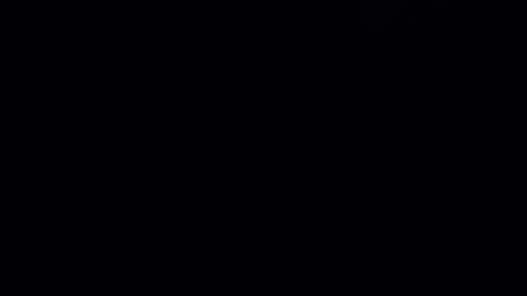 Iordan online show from 12-20-24, 10:54