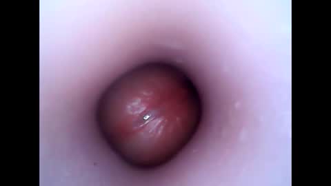 hardhammerboy online show from 12-26-24, 07:49