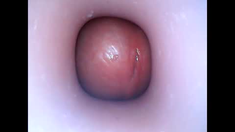 hardhammerboy online show from 01-06-25, 06:31