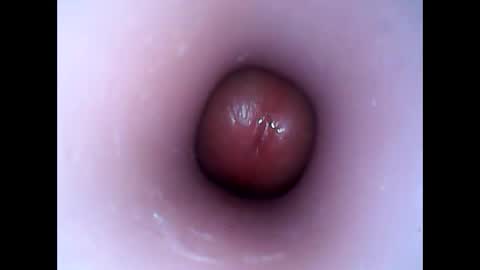 hardhammerboy online show from 01-12-25, 07:53