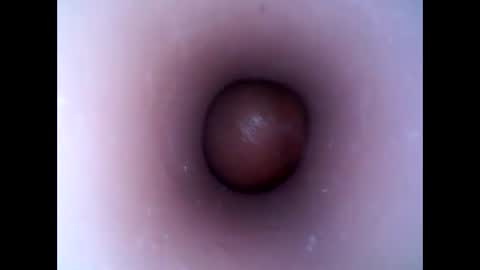 hardhammerboy online show from 01-13-25, 05:44