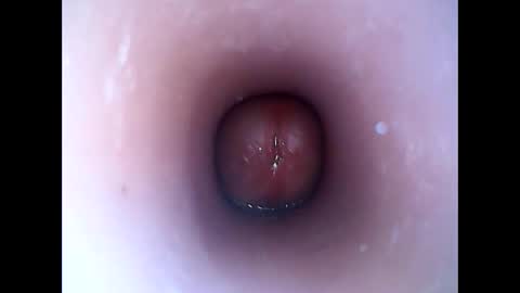 hardhammerboy online show from 01-19-25, 08:19