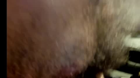 harry_banana online show from 01-17-25, 10:56