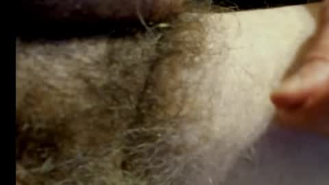 harry_banana online show from 01-20-25, 11:10