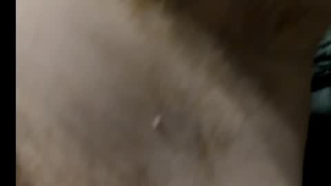 harry_banana online show from 01-27-25, 08:29