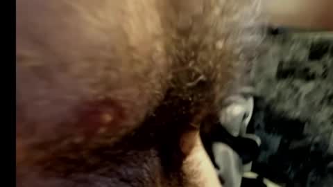 harry_banana online show from 02-10-25, 10:40