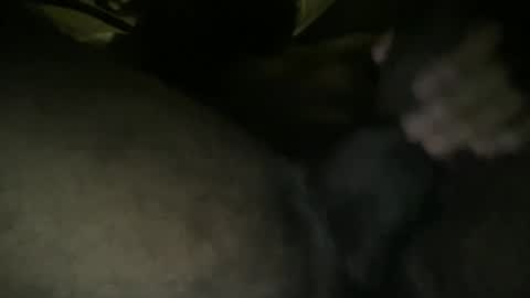 harrypahoot123 online show from 11-08-25, 08:14