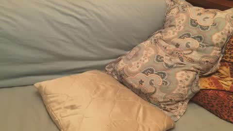 havedream1m online show from 12-17-24, 12:11