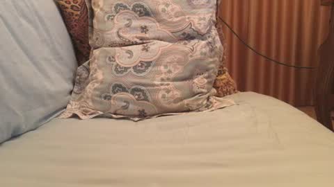 havedream1m online show from 10-13-25, 09:42