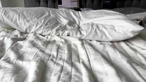 Amber  -   or vip  online show from 03-03-25, 04:46