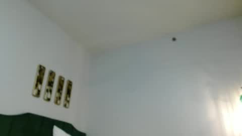 Snapshot of hazel_skye chatting on 12-29-24, 01:49 Hazel online show from 12-29-24, 01:49