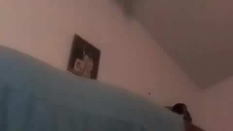 Snapshot of hbdj2164 chatting on 12-17-24, 10:34 hbdj2164 online show from 12-17-24, 10:34