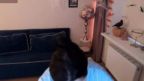 Heaven girl online show from 11-02-25, 01:35