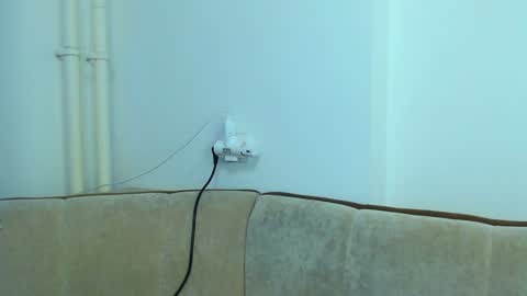 helen_adams_ online show from 01-08-25, 07:34