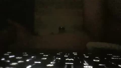 WhoMe online show from 02-06-25, 09:43