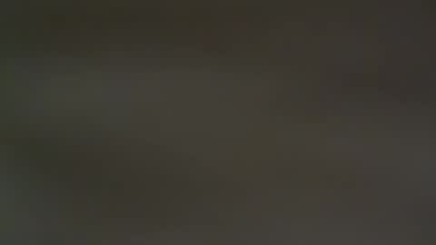 hellohowareyou66 online show from 02-13-25, 06:38