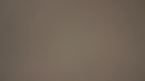 hellohowareyou66 online show from 03-05-25, 04:57