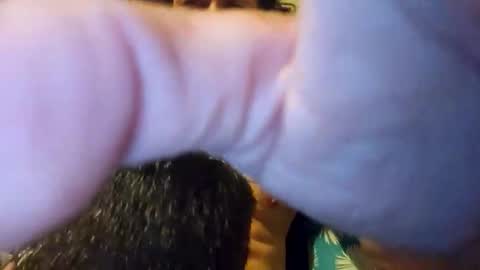 Snapshot of heyhowrya12 chatting on 10-05-25, 03:21 heyhowrya12 online show from 10-05-25, 03:21