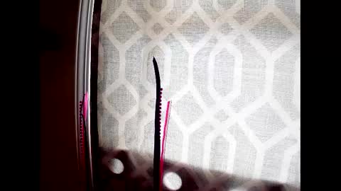 Snapshot of highnesscali37 chatting on 12-07-24, 08:16 Highnesscali37 online show from 12-07-24, 08:16