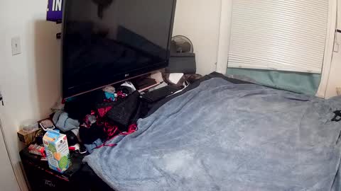 Snapshot of highnesscali37 chatting on 12-15-24, 12:28 Highnesscali37 online show from 12-15-24, 12:28