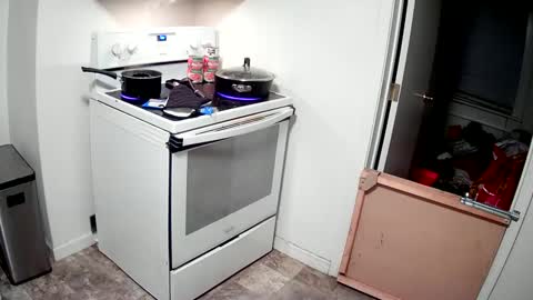 Snapshot of highnesscali37 chatting on 12-31-24, 04:27 Highnesscali37 online show from 12-31-24, 04:27