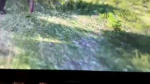 hightymz420 online show from 10-27-25, 04:16