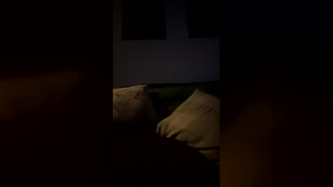 Drake online show from 02-09-26, 06:50