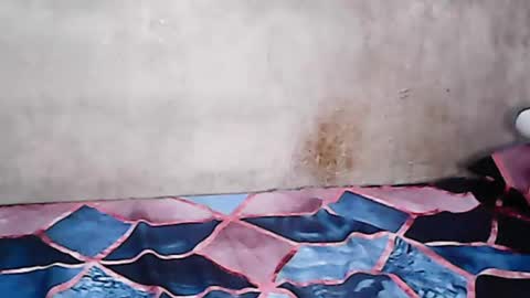 Snapshot of hillary_jade chatting on 03-09-25, 03:27 hillaryjade online show from 03-09-25, 03:27