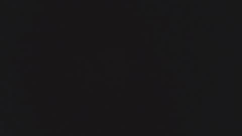 FANE AND DAVID online show from 12-16-25, 12:37