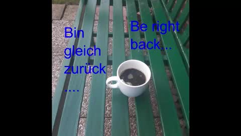 Snapshot of holgerhb53 chatting on 09-29-25, 03:22 Holger online show from 09-29-25, 03:22