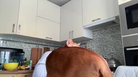 dori not holy get my tg channel with link from description under last photo online show from 02-10-25, 08:53