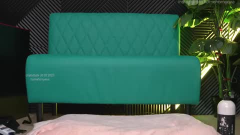 homehornyeva online show from 02-19-25, 11:25