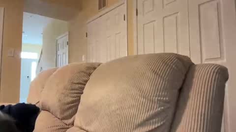 honey_man14 online show from 02-17-25, 01:53