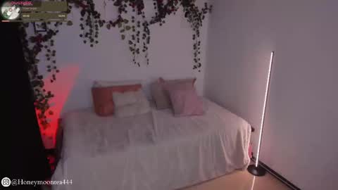       online show from 02-24-25, 10:14