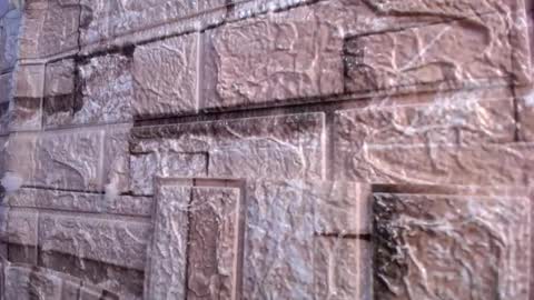 Victoria online show from 03-02-26, 07:59