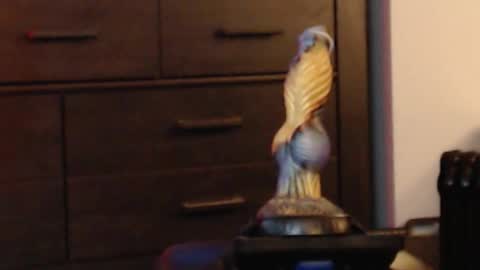 Snapshot of hookedup2 chatting on 02-08-26, 04:38 ItsReeleMe online show from 02-08-26, 04:38