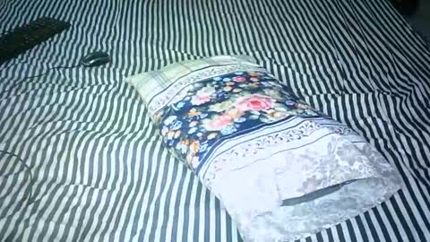 AMANI online show from 01-15-25, 08:09