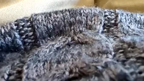 Tiny cock online show from 03-02-25, 07:12