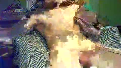 Snapshot of hornycocxxx chatting on 03-09-25, 01:14 hornycocxxx online show from 03-09-25, 01:14