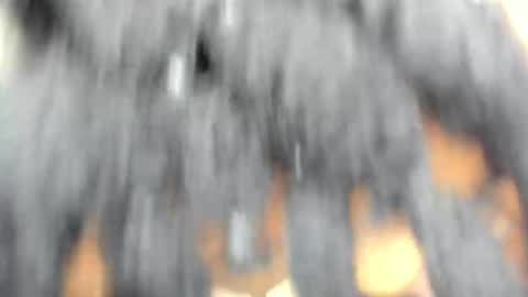 hot_moxie online show from 11-15-25, 04:43