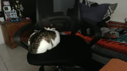 Snapshot of hotandpower10 chatting on 12-21-24, 01:04 Hot and PowerHOPE U MISS ME online show from 12-21-24, 01:04