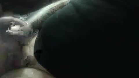 hotcream259 online show from 01-09-25, 03:04