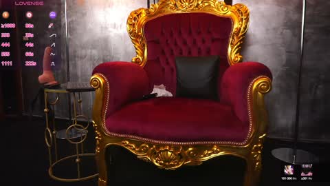 Snapshot of hotdesy_ chatting on 12-20-24, 09:43 Mistress online show from 12-20-24, 09:43